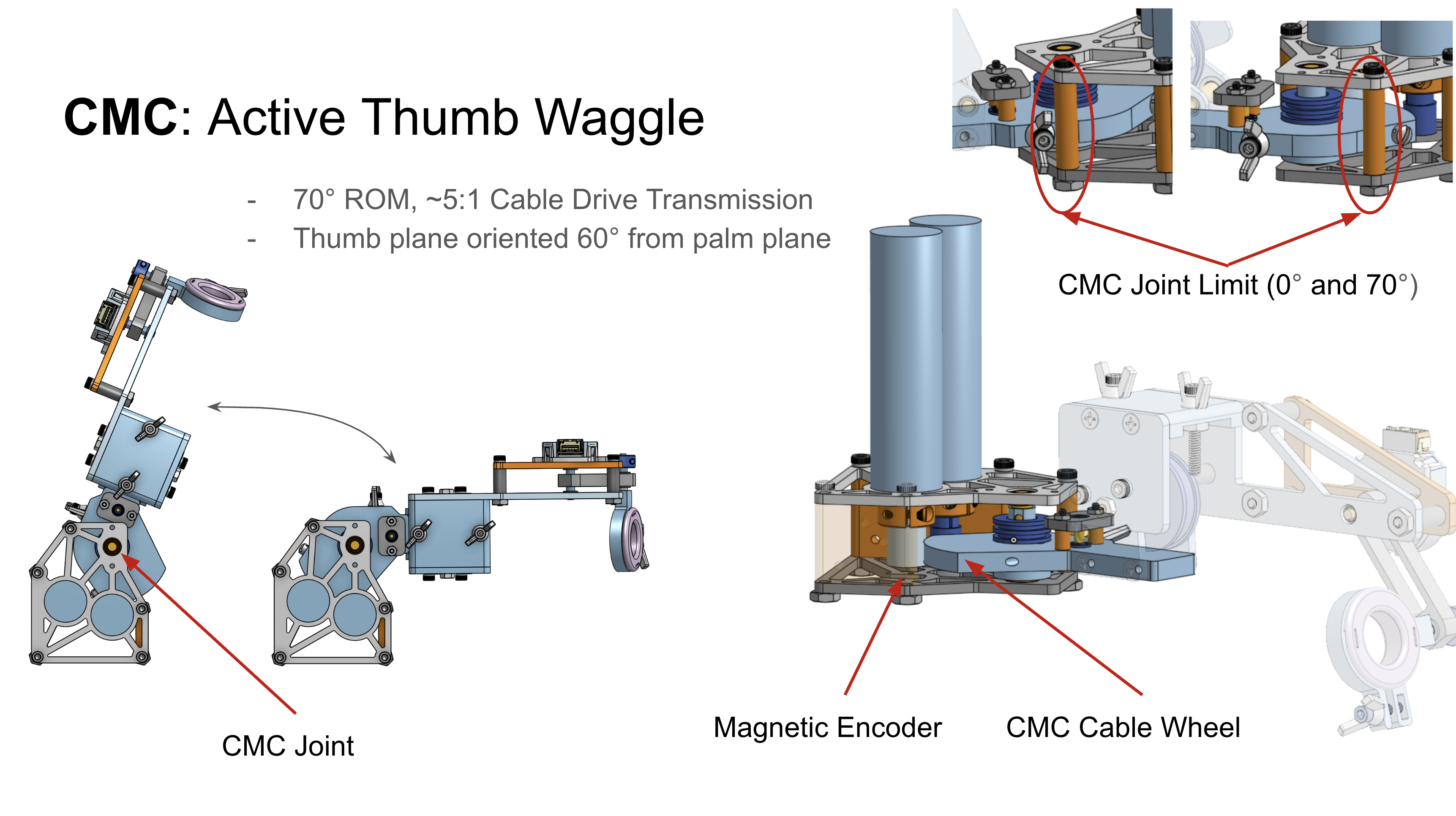 Haptic thumb mechanism